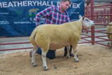 Lot 150 Sold for £1250 from A Taylor Heatheryhall